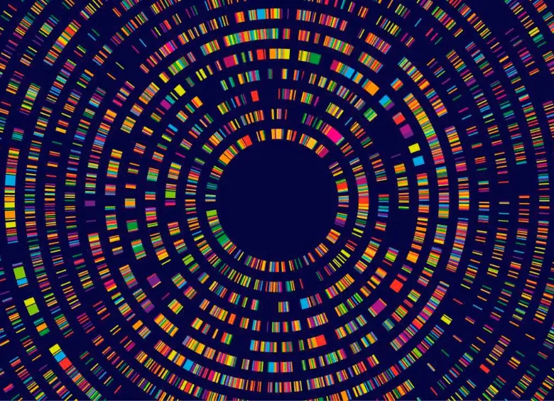 La nueva IA no solo detecta mutaciones genéticas causantes de enfermedad, sino que también las clasifica según su gravedad en todo el organismo. FOTO Agencia Sinc