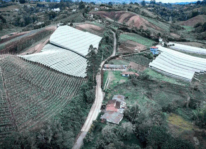 En la vereda La Sonadora, de Guatapé, se terminó una de las pocas obras de este tipo que se han entregado en Antioquia. FOTO Invías