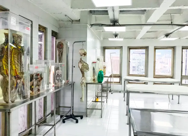 Los estudiantes del programa de Medicina disfrutan de laboratorios de anatomía, morfología y anfiteatro, biología, histología, microscopía, química, alimentos, de la vida, regencia y farmacia, y ciencias básicas biomédicas, y simulación clínica de alta fidelidad.