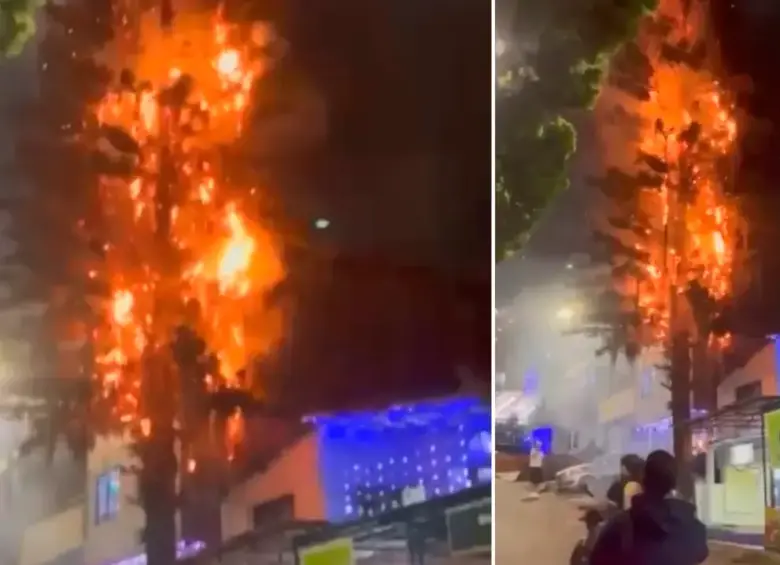 El incendio, además de acabar con el árbol, puso en riesgo varias casas. FOTO: Captura de video