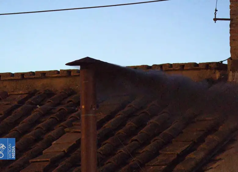 Entre 133 cardenales menores de 80 años se elegirá al sucesor del papa Francisco. FOTO: captura de video