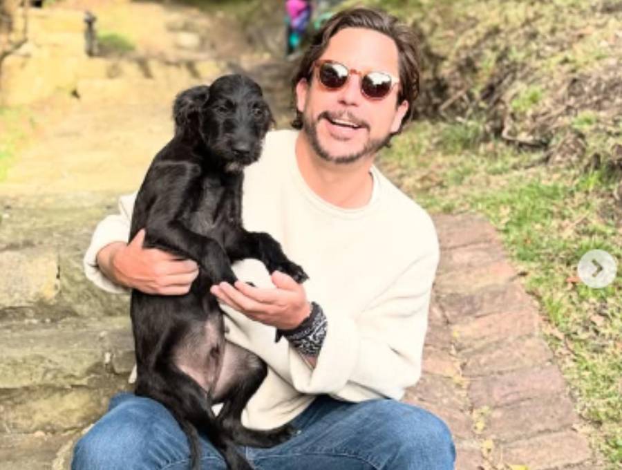 Barbas fue rescatado por la fundación Huellas de Amor, un refugio con sede en Pereira, luego de ser carnada para tiburones en Buenaventura. FOTO: Redes sociales Alejandro Riaño