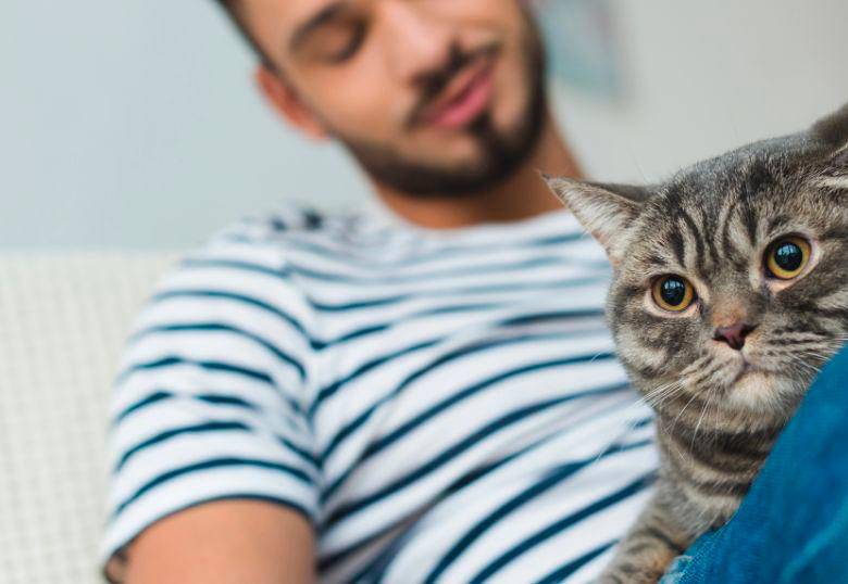 ¿Mi gato me recordará cuando sea viejo? Esto dice la ciencia