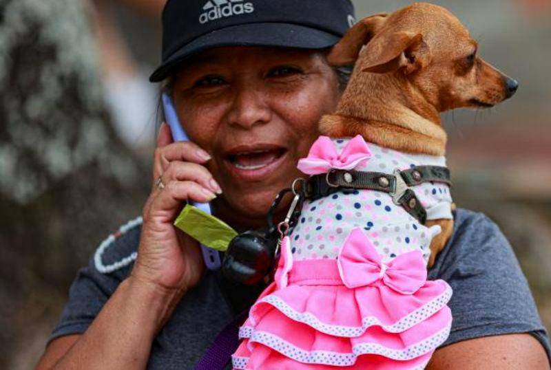 “Perrhijos”, o tratar a nuestros perros como si fueran hijos: ¿Es buena idea?