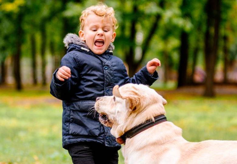 ¿Por qué a las personas no les gustan los perros? Tres razones psicológicas