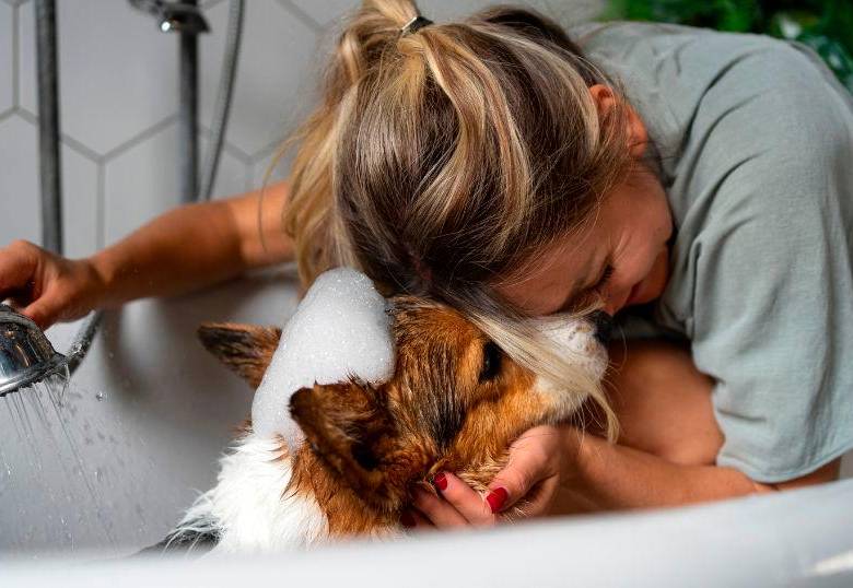 Temperatura del agua para bañar a tu mascota
