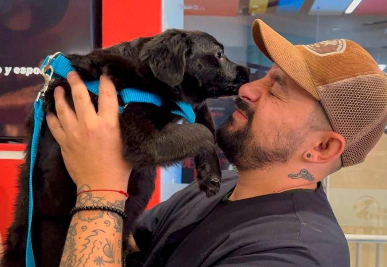 Más de 1.000 perros y gatos han sido adoptados en Medellín en 2025