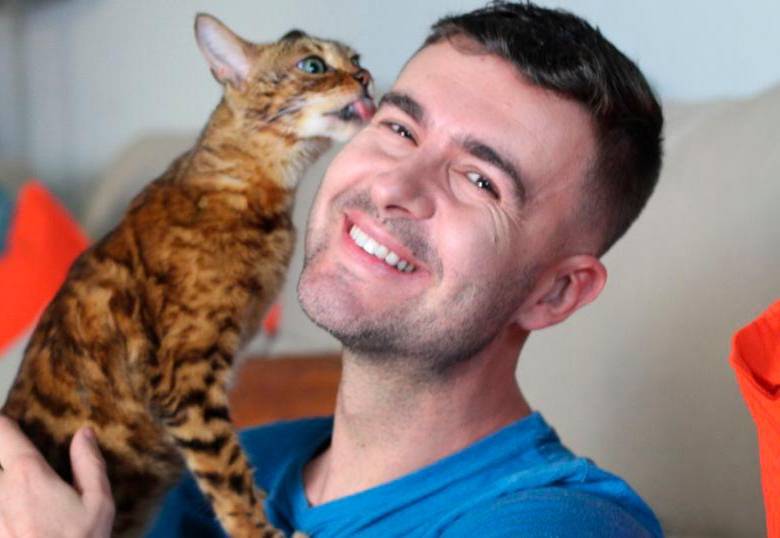 ¿Cómo tus gatos “te adiestran”?: tácticas de manipulación felina