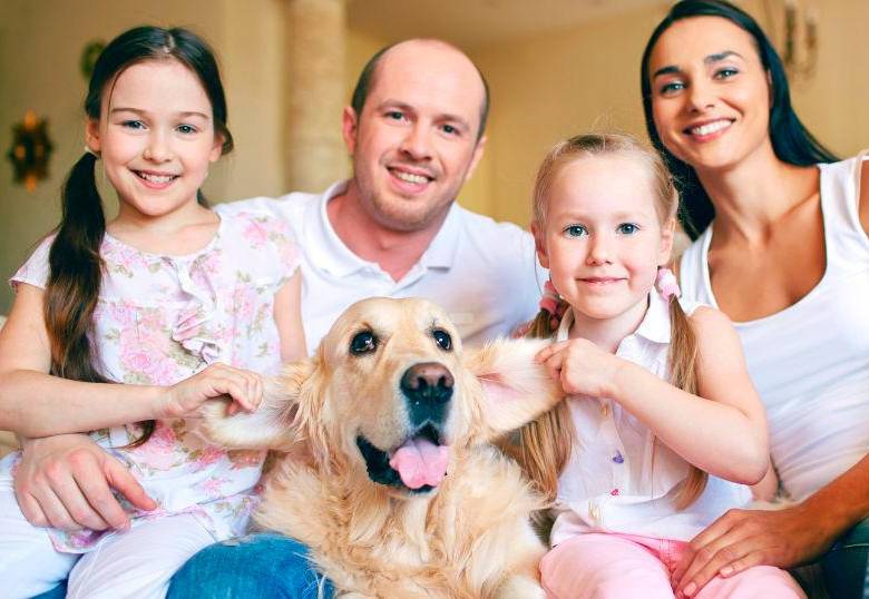 Tres razones de por qué cada vez tenemos más mascotas 