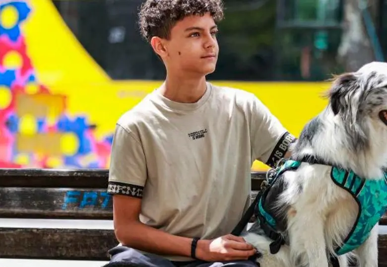 Estos son los perros que peor se adaptan a la vida en la ciudad