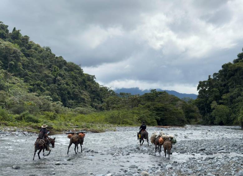 Con el programa Contigo Antioquia se han realizado atenciones directas desde la ruralidad dispersa con médicos especialistas en Toxicología, Pediatría, Ginecobstetricia, Urgentología, Psiquiatría y Medicina Interna. FOTOS CAMILO SUÁREZ ECHEVERRY Y CORTESÍA