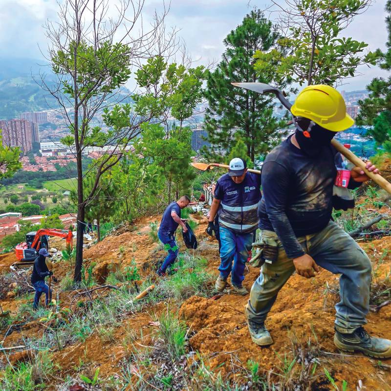Desde 2025, las autoridades de Bello lanzaron una ofensiva para controlar la construcción de barrios irregulares en el Cerro Quitasol, una zona de gran importancia ambiental . FOTOS CORTESÍA ALCALDÍA DE BELLO 