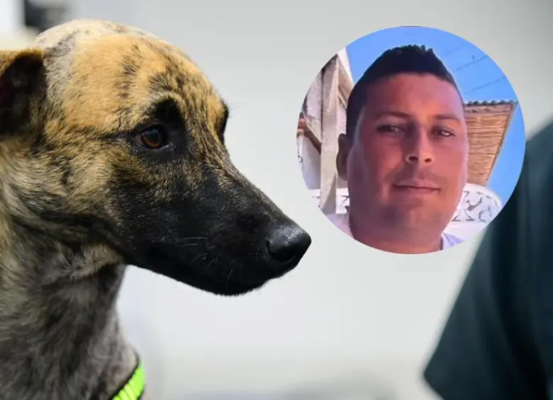 El agresor de Bizcocho, lo habría golpeado con un látigo, causándole secuelas neurológicas y de tipo comportamental. FOTO: Cortesía Gobernación de Antioquia