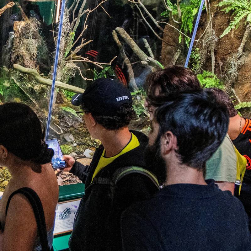 La Administración Distrital destinó un presupuesto de $5.300 millones de pesos para la estrategia de Formación de Públicos el primer semestre de este año. Foto: Julio Herrera. 