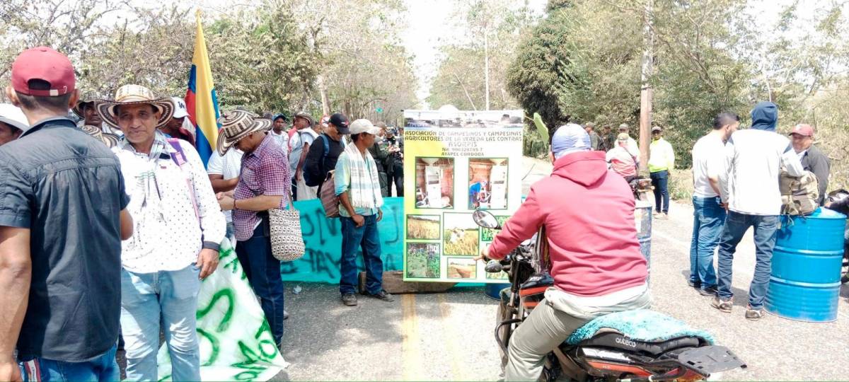 Campesinos Y Ganaderos De La Mojana Salieron A Paro Indefinido