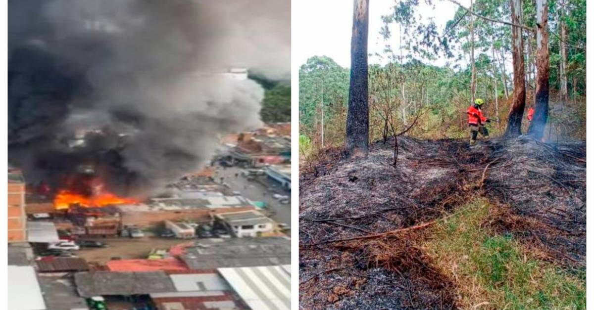 Fen Meno De El Ni O Aumenta Posibilidades De Incendios En Diciembre