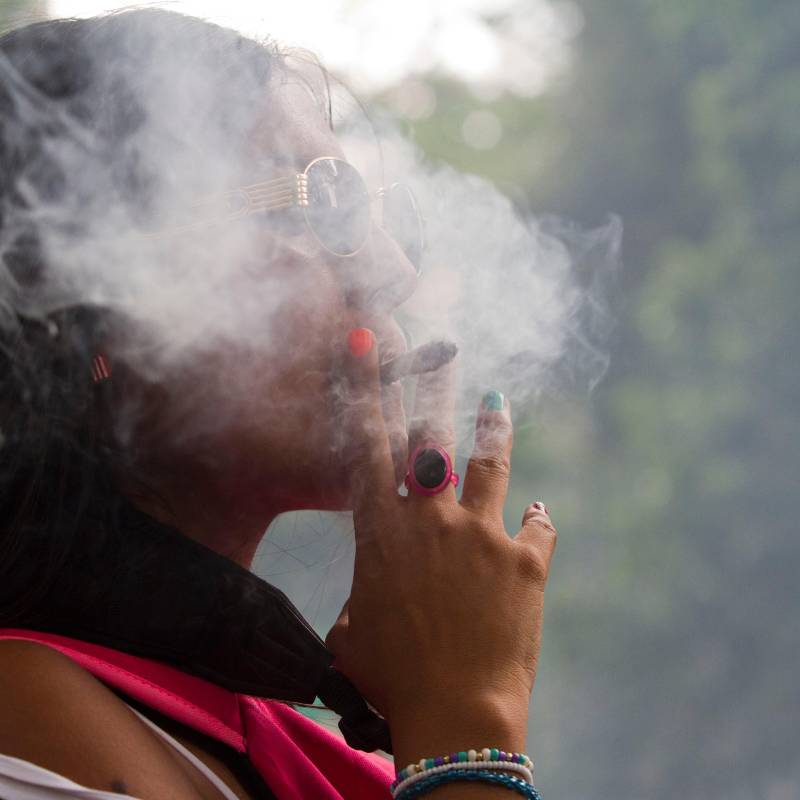 Estudios recientes han demostrado que la marihuana actual puede afectar a sus consumidores a un grado que la del pasado no lo hizo. Hay alerta en el gremio médico por estas informaciones. FOTO el colombiano 