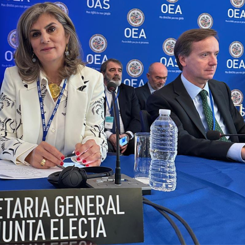 Laura Gil, secretaria adjunta general de la OEA. Foto: OEA.