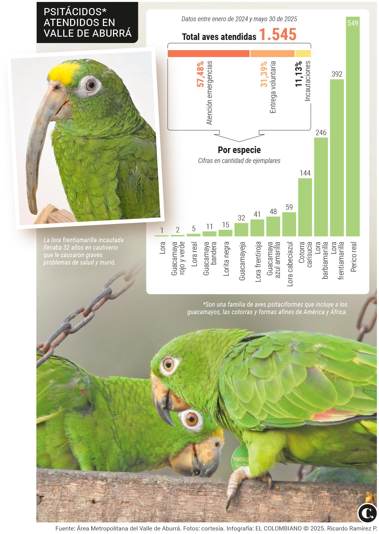 InfogrÃ¡fico