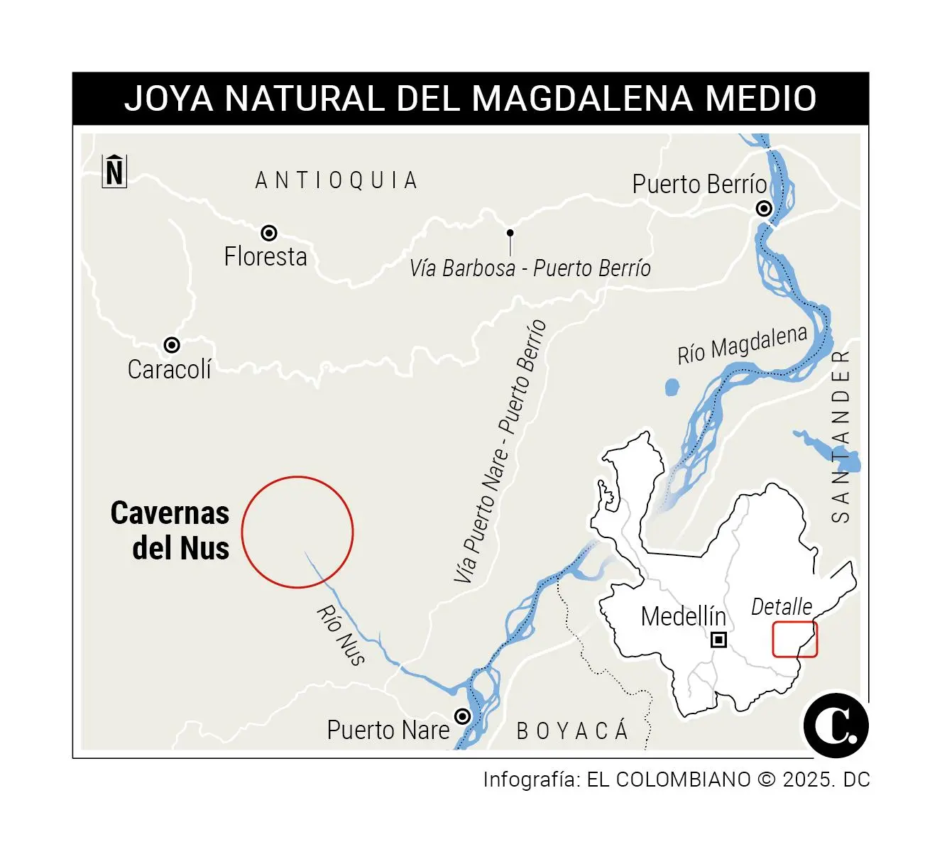InfogrÃ¡fico