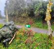 La Fuerza Pública hizo presencia en la zona para desactivar el artefacto explosivo. FOTO: Cortesía Ejército