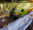 El laboratorio estaba camuflado en medio de la vegetación en un área rural y dipuesto en chozas cubiertas por plásticos. FOTO: CUARTA BRIGADA
