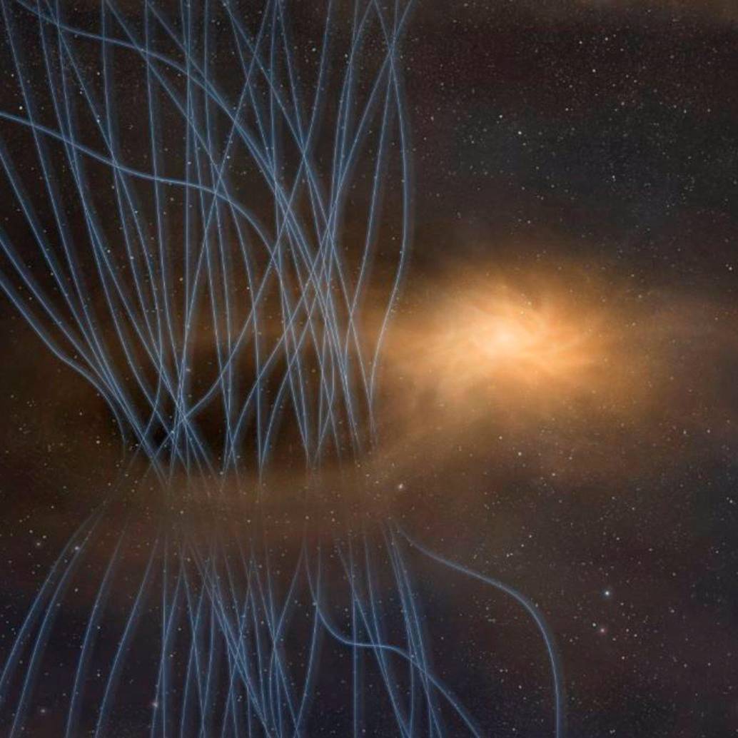 La estrella bebé en el centro está rodeada por un disco brillante llamado disco protoestelar. Foto: Europa Press/ ALMA (ESO/NAOJ/NRAO)