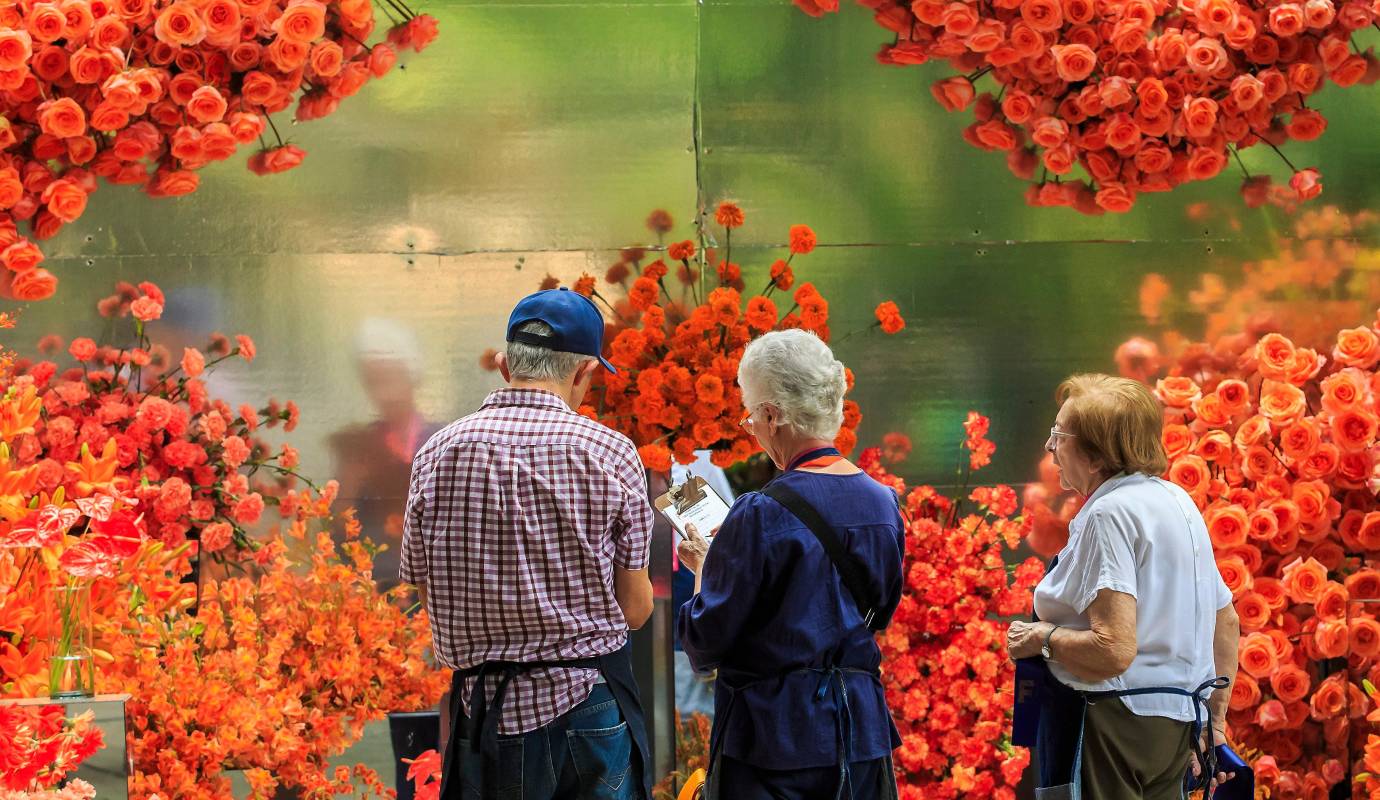 Los visitantes tienen la oportunidad de admirar la rara belleza de orquídeas que de otro modo solo se encontrarían en remotos ecosistemas, así como de aprender sobre sus ciclos de vida, sus adaptaciones y las amenazas que enfrentan. Foto: Camilo Suárez Echeverry