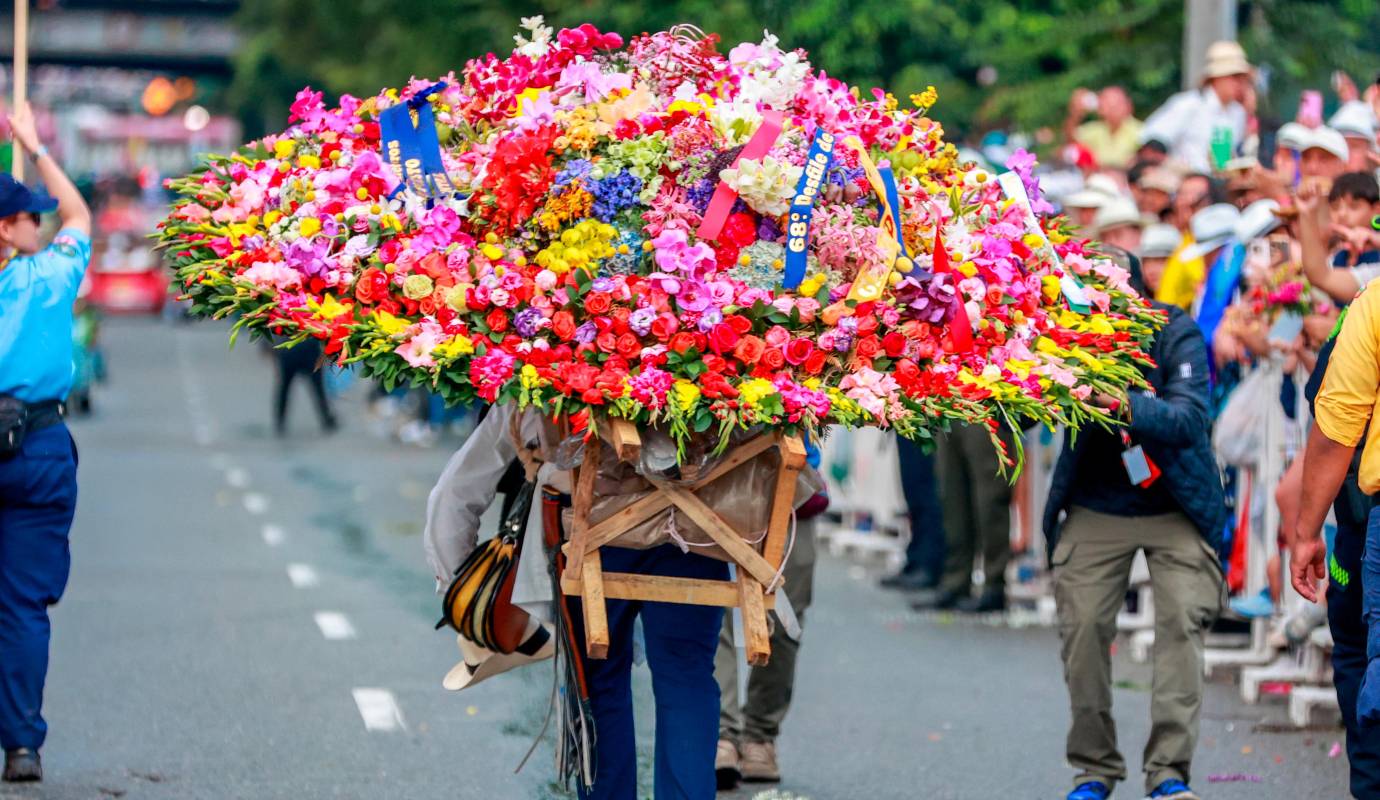 Un total de 540 silleteros, llenaron de color, tradición y orgullo las calles de la capital antioqueña, ofreciendo un espectáculo que fusiona arte, historia y cultura en cada paso. Foto: Manuel Saldarriaga Quintero