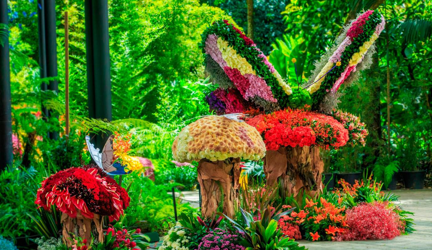 Más de 2.000 plantas en exhibición y más de 300 especies de orquídeas y flores hacen parte de una muestra sin precedentes, en la que participan 22 asociaciones de orquideología provenientes de distintas regiones de Colombia. Foto: Camilo Suárez Echeverry