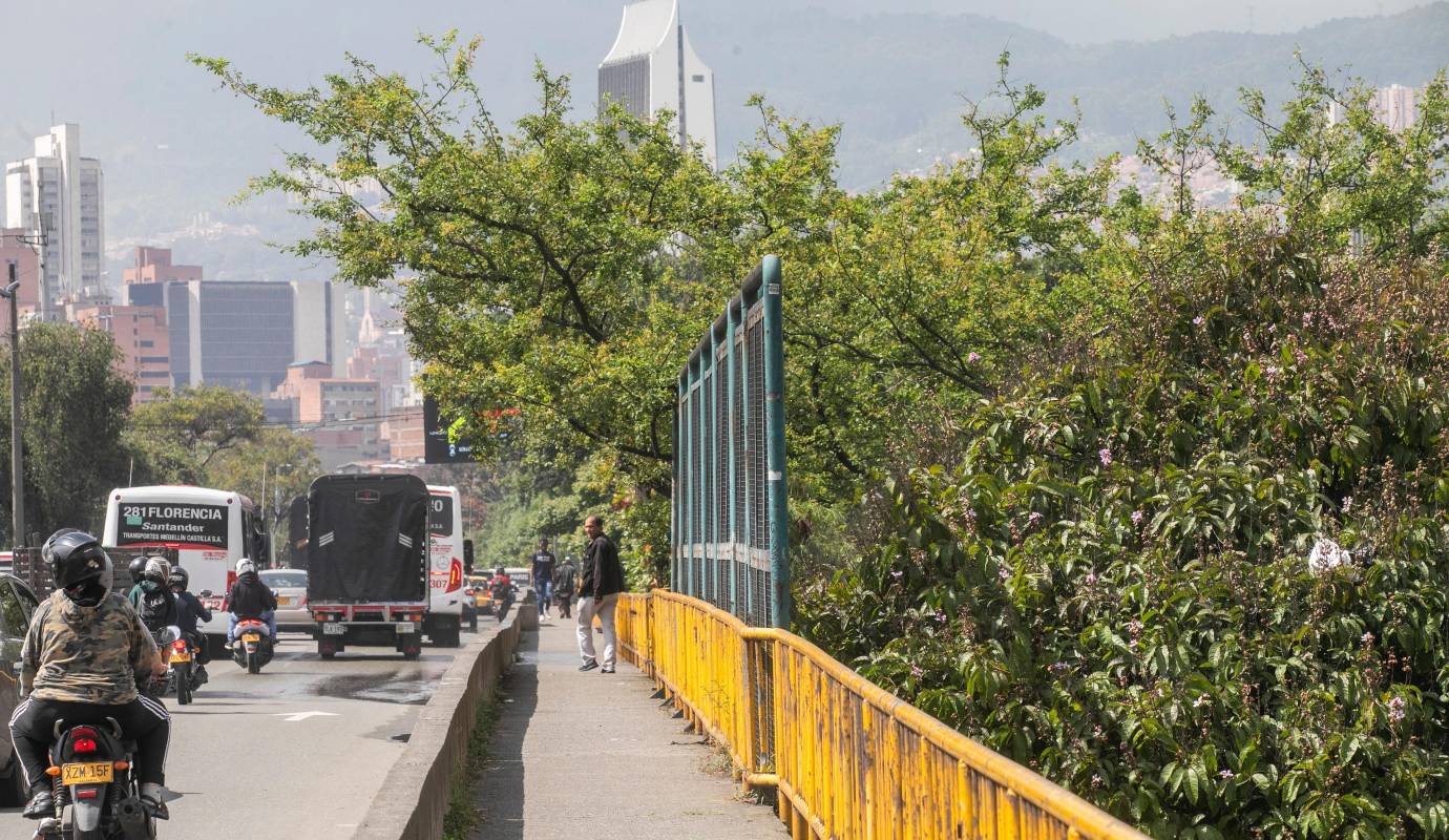 El puente Horacio Toro, aledaño a la Plaza Minorista, tendrá 160 metros de mallas protectoras conformada por 51 módulos de protección. Foto: Esneyder Gutiérrez 