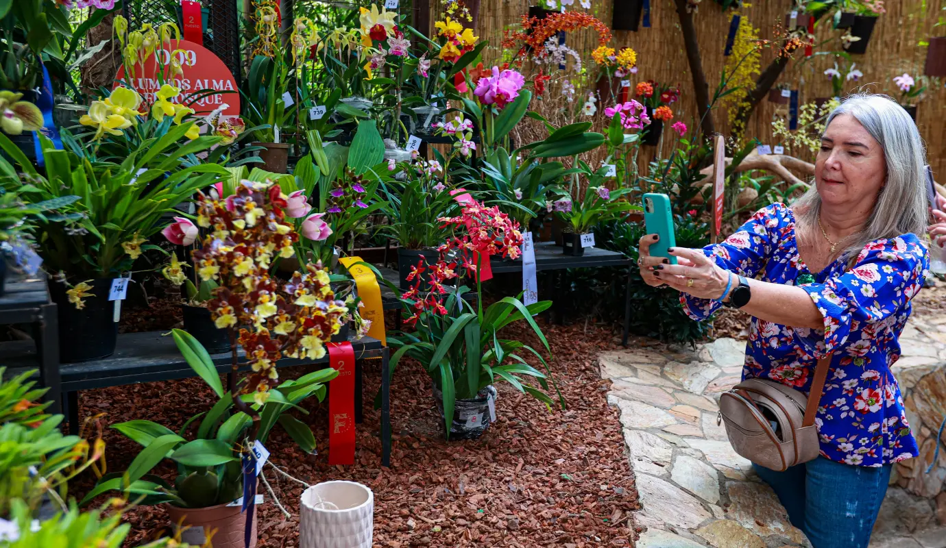 Organizado por el Jardín Botánico de Medellín, en alianza con la Sociedad Colombiana de Orquideología (SCO), este evento emblemático inició hoy 5 de agosto y se extenderá hasta el próximo 10, cautivando a locales y turistas con un universo de formas, aromas y colores. Foto: Manuel Saldarriaga Quintero