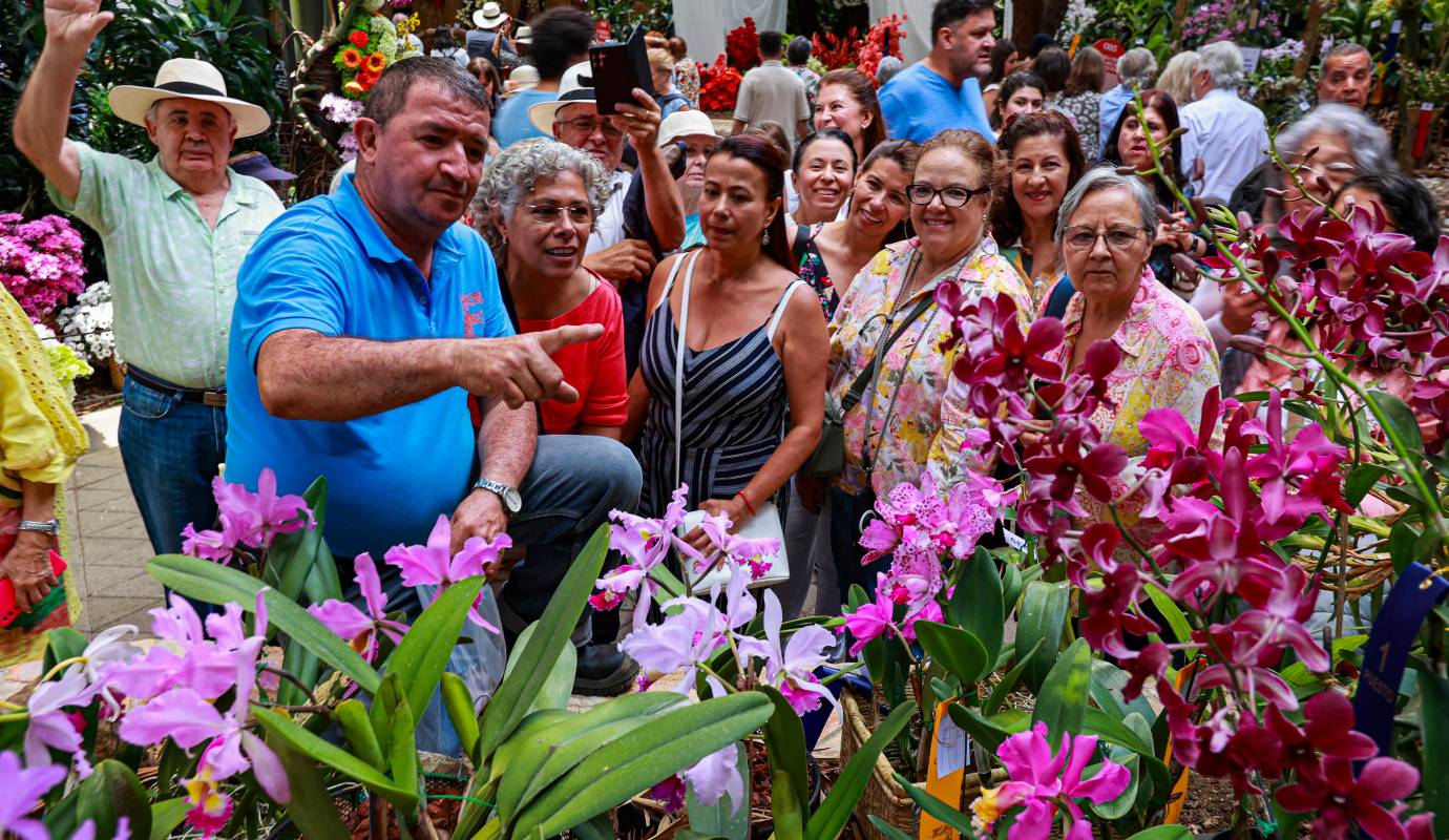 Este año, Florecer celebra su 30ª edición, un hito que subraya su importancia y longevidad como plataforma para la exhibición y el estudio de las orquídeas y otras flores exóticas. Foto: Manuel Saldarriaga Quintero