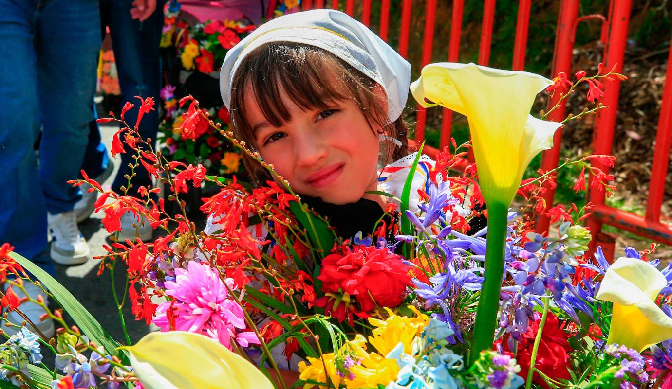 Más de 2.200 niños y niñas llenaron de color, alegría y un profundo sentido de tradición las calles del barrio La Floresta, rindiendo un vibrante homenaje a la inigualable cultura silletera que define a los paisas. Foto: Camilo Suárez Echeverry