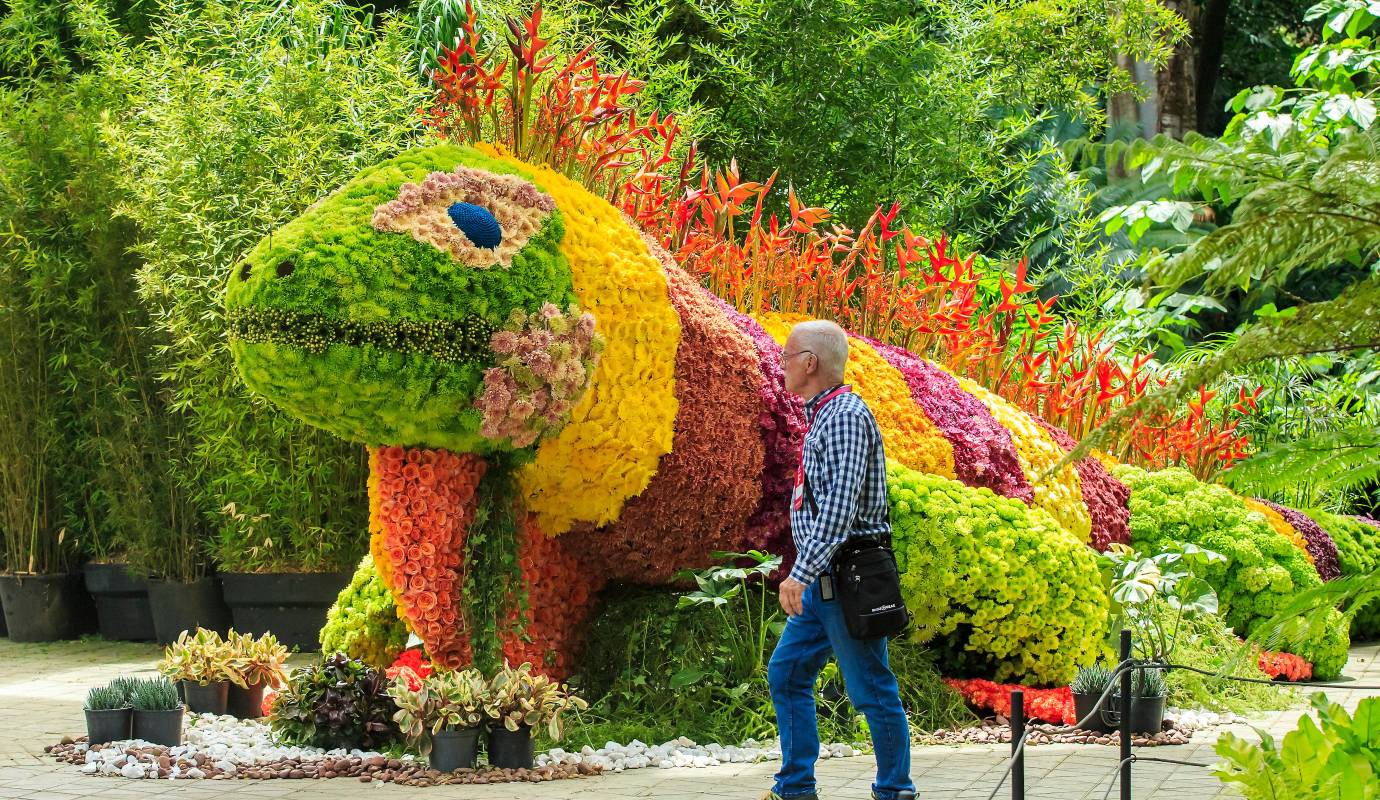 El evento, que se extiende desde hoy, 5 de agosto, hasta el 10, va más allá de la simple exhibición de flores. Es una experiencia educativa y sensorial para toda la familia. Foto: Camilo Suárez Echeverry
