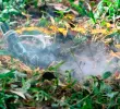 El hecho se registró en una zona rural conocida como Alto del Zapatillo, en la vereda Tacamocho. Imagen de referencia. FOTO Cortesía