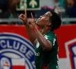 El colombiano celebra el tanto ante Bahía con el cual, Palmeiras abrió el camino de la victoria como visitante, para mantenerse en la parte alta de la tabla. FOTO: Tomada de X @Palmeiras