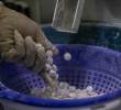 El laboratorio farmacéutico AstraZeneca esta entre los financiadores del estudio. Foto El Colombiano.