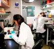 Imagen de referencia. El laboratorio tuvo un costo por encima de los $17.000 millones. FOTO ARCHIVO