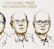 Los nombres de Yaghi, de 60 años, y Kitagawa, de 74, estaban desde hace años en las quinielas para el galardón de Química, el tercero de la semana de los Nobel. FOTO: Cortesía