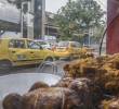 Medellín y Cartagena, las ciudades con el precio promedio del pollo asado más alto. Foto: ARCHIVO