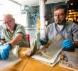 El Grupo de Genealogías fue creado en el 2018, desde entonces se reúne semanalmente en la Biblioteca Pública Piloto (BPP), en el barrio Carlos E. Restrepo de Medellín. FOTO Esneyder Gutiérrez.