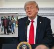 Después de que el presidente Donald Trump designara el inglés como idioma oficial de Estados Unidos, desde el Departamento de Justicia se conoció esta implementación. FOTOS: AFP y Xinhua