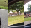 Temblor en Cundinamarca que sacudió gran parte del país. Fotos: captura de video