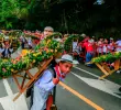 La 36ª edición del Desfile de Silleteritos en el barrio La Floresta se erigió como uno de los momentos más conmovedores y significativos de la Feria de las Flores. Foto: Camilo Suárez Echeverry