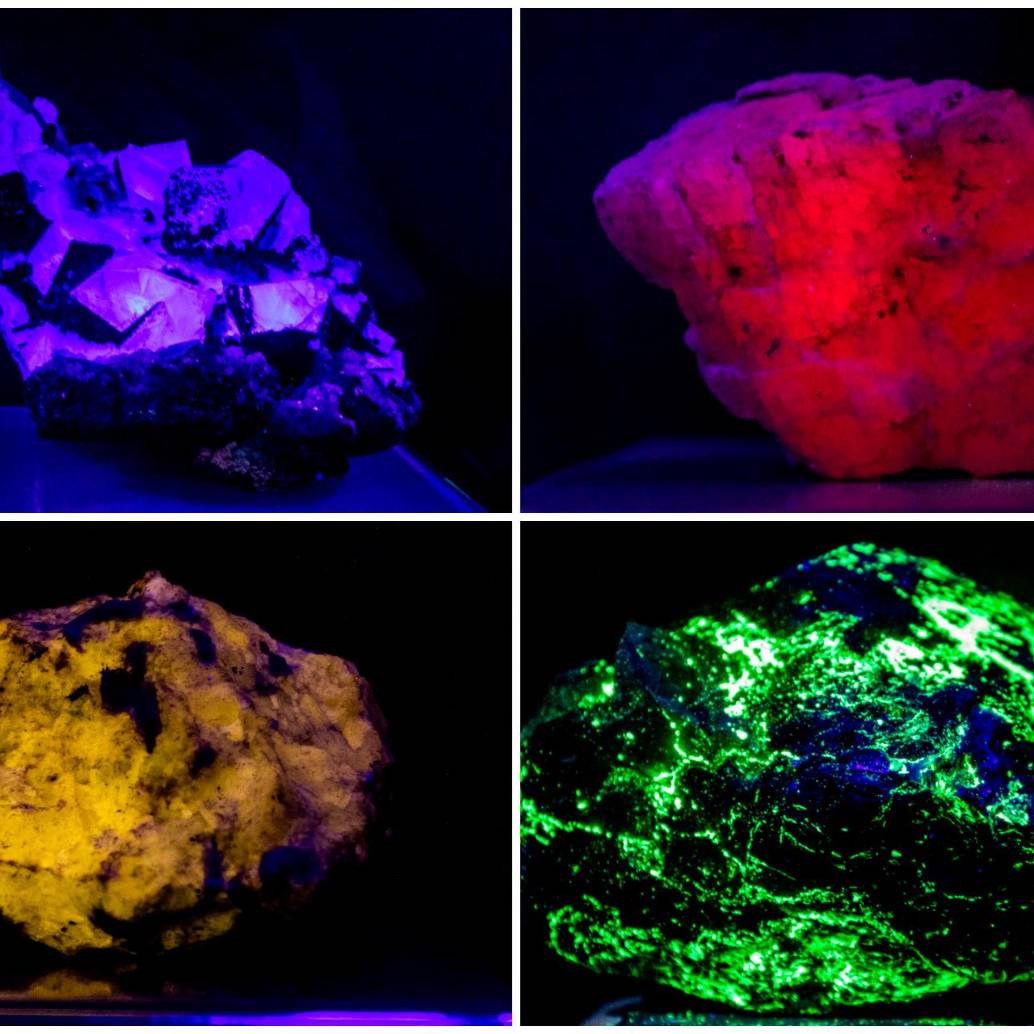 Muestras de minerales fluorescentes del Museo de Geociencias, abierto al público de forma gratuita. FOTOS Julio César Herrera Muestras de minerales fluorescentes del Museo de Geociencias, abierto al público de forma gratuita. FOTOS Julio César Herrera