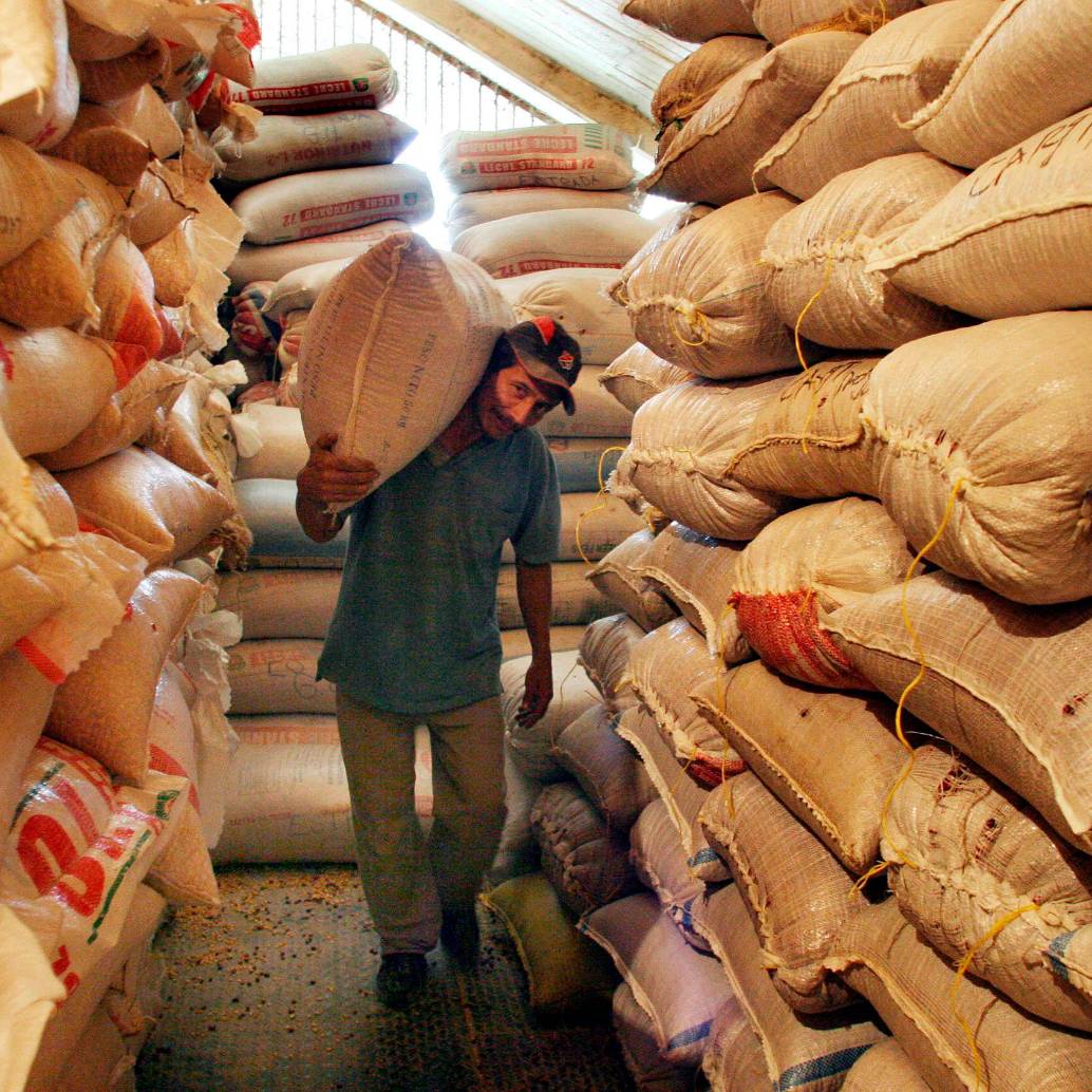 Según Fenalce, a junio, se exportaron 301.498 kilos de maíz blanco a Estados Unidos, Chile y España. FOTO EL COLOMBIANO Según Fenalce, a junio, se exportaron 301.498 kilos de maíz blanco a Estados Unidos, Chile y España. FOTO EL COLOMBIANO