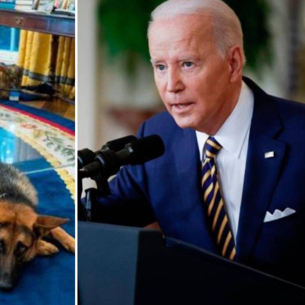 La gobernadora que sugirió sacrificar al perro de Joe Biden confesó que le había disparado a su cachorro por “indomable”. FOTOS: Casa Blanca y Colprensa