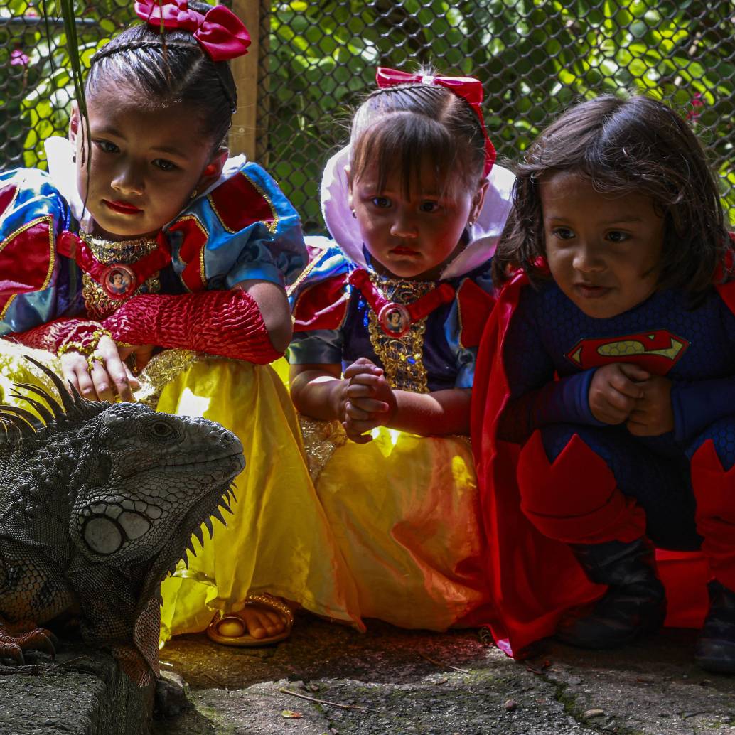 Imagen de referencia de niños disfrazados en un parque de Medellín. Foto: Manuel Saldarriaga Quintero. Imagen de referencia de niños disfrazados en un parque de Medellín. Foto: Manuel Saldarriaga Quintero.