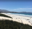 El siniestro ocurrió la noche del sábado, a unos 275 metros de Point Pinos, en el condado de Monterey, California. Imagen tomada de, Tripadvisor.